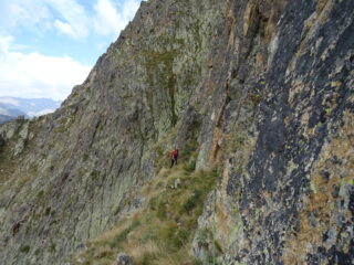 Trasferimento esposto su L2