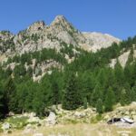 Radura della grange diroccata