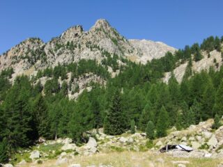 Radura della grange diroccata