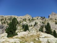 Dal laghetto delle Sagne siamo saliti puntando a sinistra della cima centrale 
