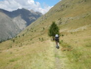 lungo tratto ciclabile