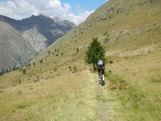 lungo tratto ciclabile
