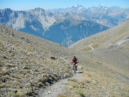 sul sentiero per il Monte Vin Vert