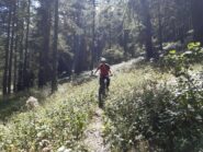 La discesa nel bosco verso Grange Guiaud