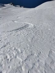 Belle curve 