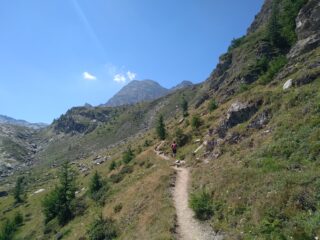 Ambiente fantastico,sullo sfondo al centro Meidassa e sulla dx Granero.
