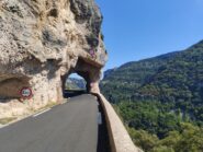 Nelle Gorges de la Nesque.