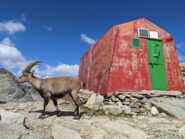 Bivacco Walter Blais sul Col d'Ambin