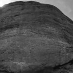 Il grosso e pingue culone del Toro seduto