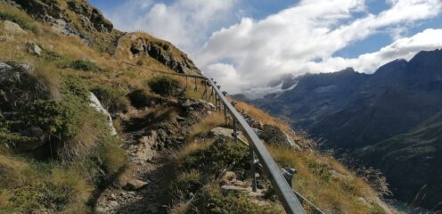Monorotaia che accompagna per buon tratto il sentiero