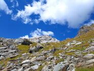 Monte Marzo lato Valchiusella