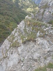 Sentiero di discesa dalla Bocchetta a Piamprato