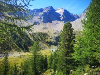 Salita nel bosco verso il bivacco Zappelli