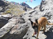 Bolla al Passo Alto