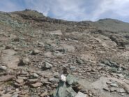 Voltandosi scendendo