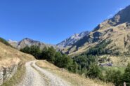 Salita lungo la poderale verso la malga