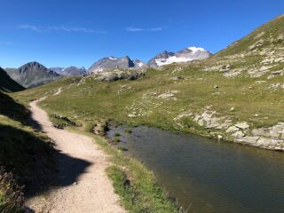 Passo Forcola minor.