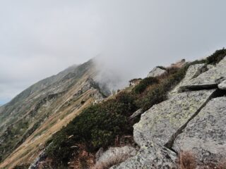 La cresta verso la cima 2299