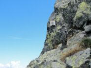La statuetta mariana e l'immagine di Padre Gianfranco Valsesia