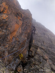 Marcella si tira il diedro