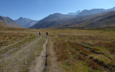 Verso l'alpeggio du Gran Collet