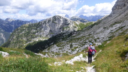 Dalla 