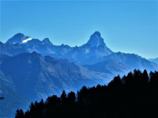 Il Cervino visto dal lungo sentiero iniziale nel bosco
