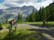 Sulla bella sterrata nel bosco in prossimità del forte superiore.