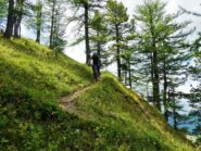 Inizio discesa parte alta.