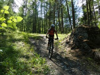 Verso il termine del percorso.