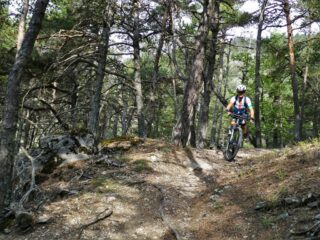 Silvia in azione con la sua front.