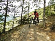 Staccionata di sicurezza...