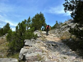 Il sentiero non molla sino alla fine...