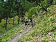 Sulla parte iniziale del sentiero Widman.