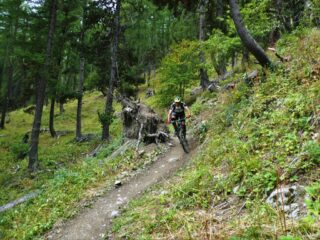 Sulla parte iniziale del sentiero Widman.