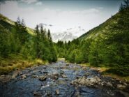 Sul filo d'acqua del torrente.