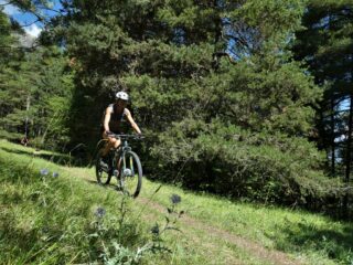 Tratti di sentiero inerbiti dopo il ponte.