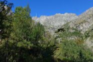 Uscendo dal bosco il panorama si amplia