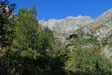 Uscendo dal bosco il panorama si amplia