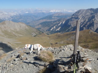 Viradantour 