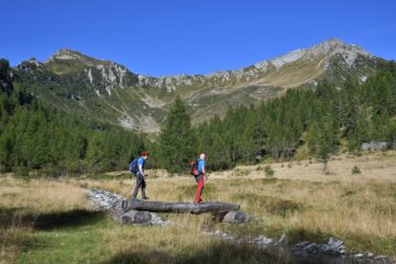 Passerella all'Alpe Galeria