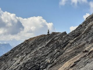 Lassù qualcuno osserva gli intrusi