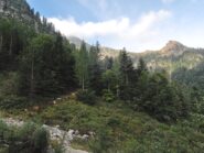 Togano nelle nuvole e Pizzo Marcio visti da poco dopo Campra