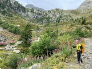 il bel Vallone di San Bernolfo