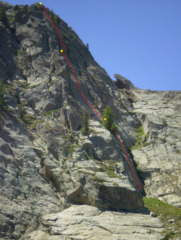 topo dell'apritore Cavallo Paolo