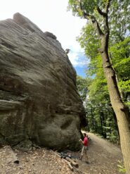 Sala su Fidarsi è bene.