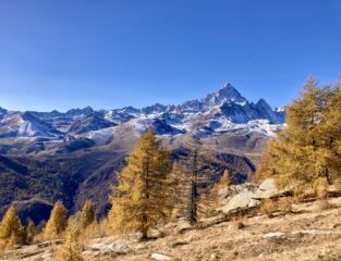 Monviso e foliage scendendo dal Colle Bernardo