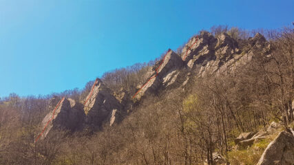 Il tracciato sulle 4 placche viste da Nord.