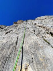 L8, splendide cannelures