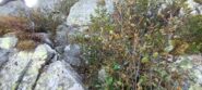 Catene...semi nascoste